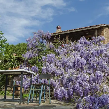 Agora Evleri Hotel apartamentowy *