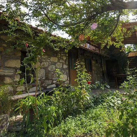 Hotel apartamentowy Agora Evleri Kapikiri